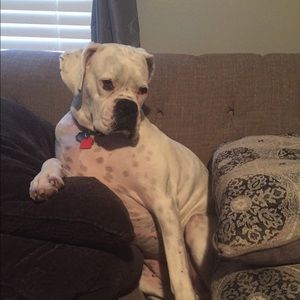 Meet your Posher, Kaleigh